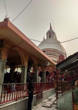 Bougainvilleas on Lombard Street,  San Francisco, Tokyo