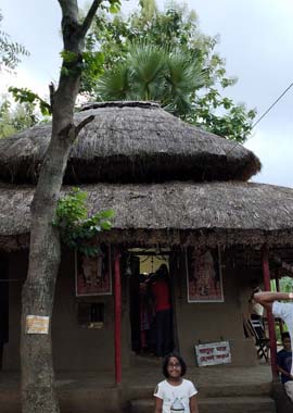 Bougainvilleas on Lombard Street,  San Francisco, Tokyo
