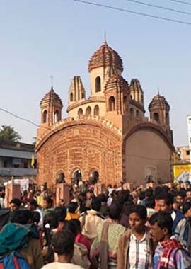 Bougainvilleas on Lombard Street,  San Francisco, Tokyo