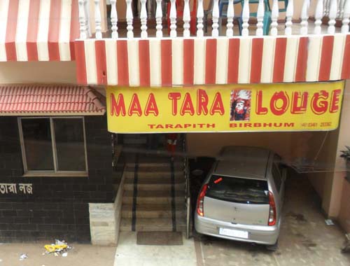 Bougainvilleas on Lombard Street,  San Francisco, Tokyo