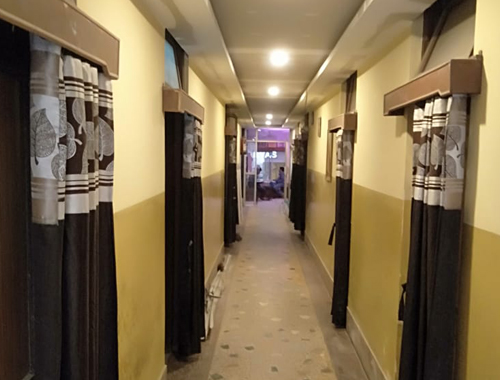 Bougainvilleas on Lombard Street,  San Francisco, Tokyo