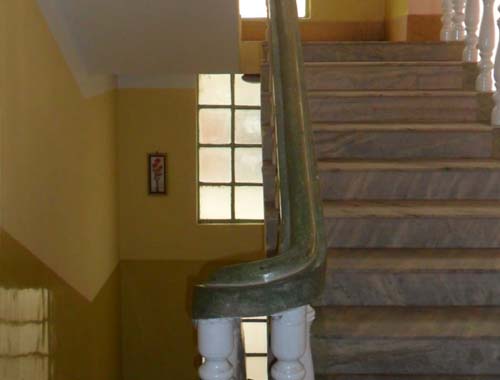 Bougainvilleas on Lombard Street,  San Francisco, Tokyo