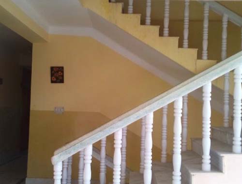 Bougainvilleas on Lombard Street,  San Francisco, Tokyo