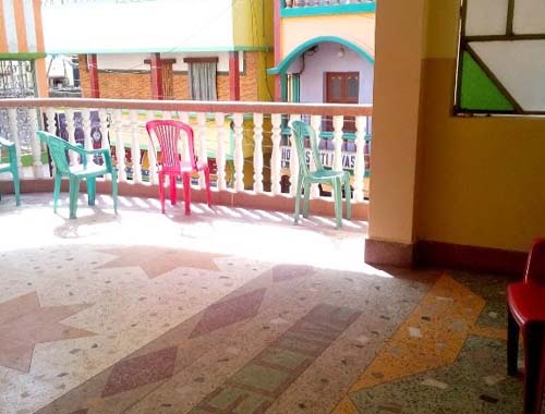 Bougainvilleas on Lombard Street,  San Francisco, Tokyo